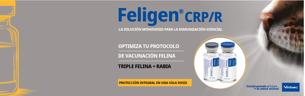 FELIGEN    CRP/R